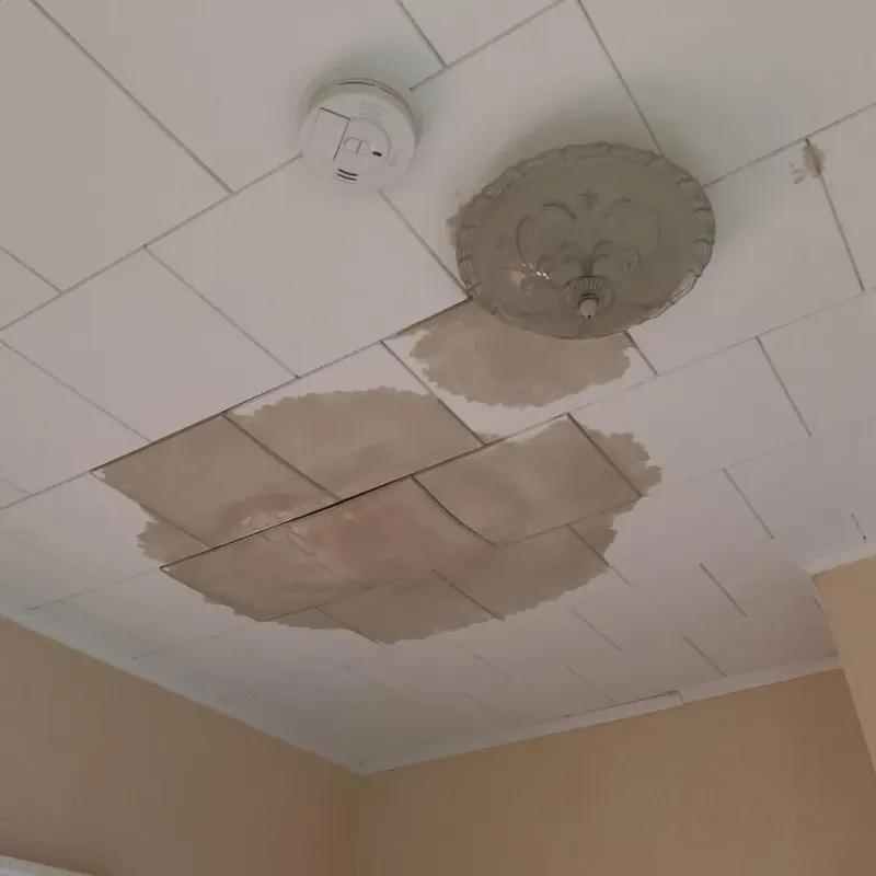 Ceiling Water Damage Repair in Pecatonica, IL