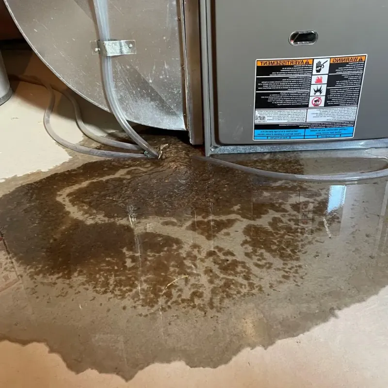 Pipe Burst and Leak Restoration in Pecatonica, IL